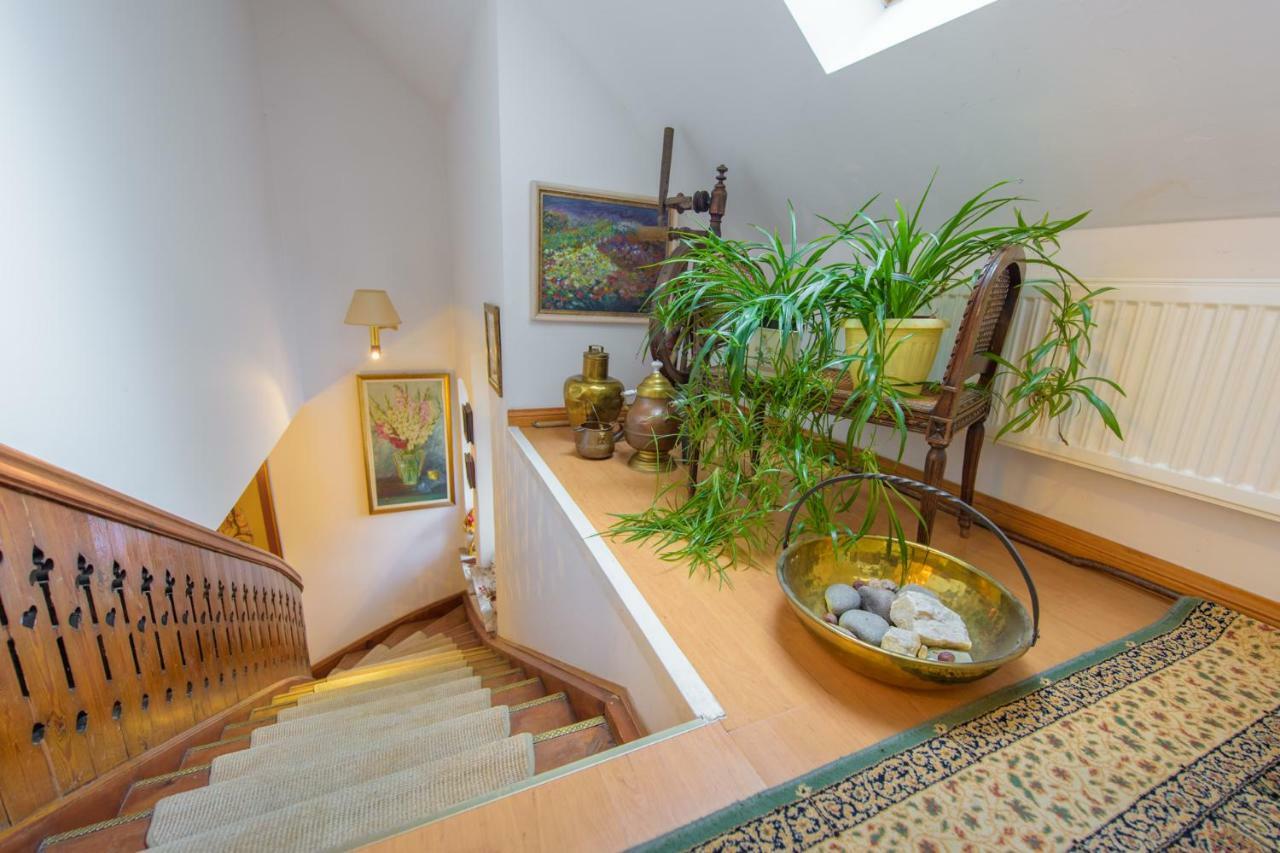 Villa Parkowa 5 Swieradow-Zdroj Bagian luar foto